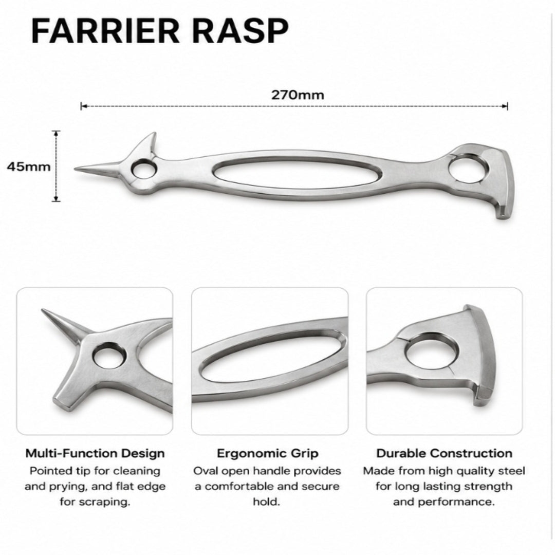 Professional Multi-Function Farrier Rasp (270mm)