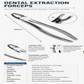 Professional Farrier All-Purpose Shoe & Nail Pulling Tongs (300mm)