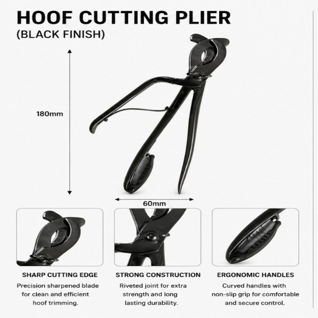 Professional Farrier Curved Hoof Tester (330mm)