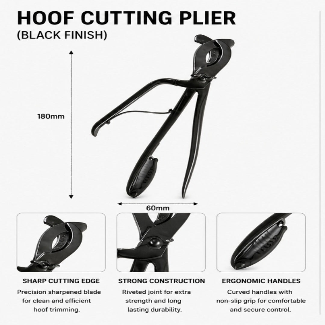 Professional Farrier Curved Hoof Tester (330mm)