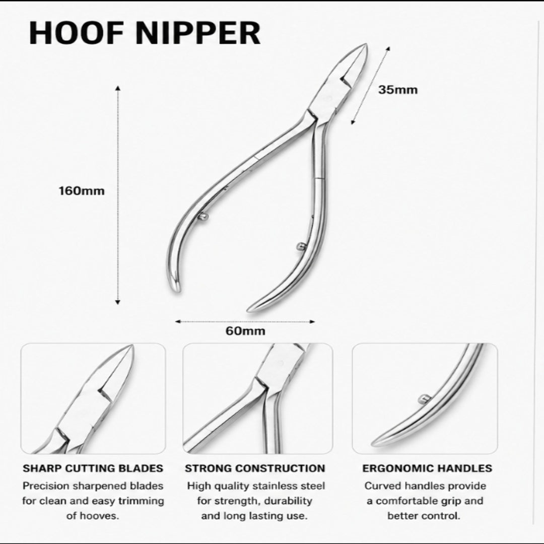 Professional Hoof Nipper – 160mm Precision Stainless Steel Trimming Tool